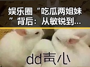 娱乐圈“吃瓜两姐妹”背后：从敏锐到理性，揭秘圈内“瓜界”逻辑